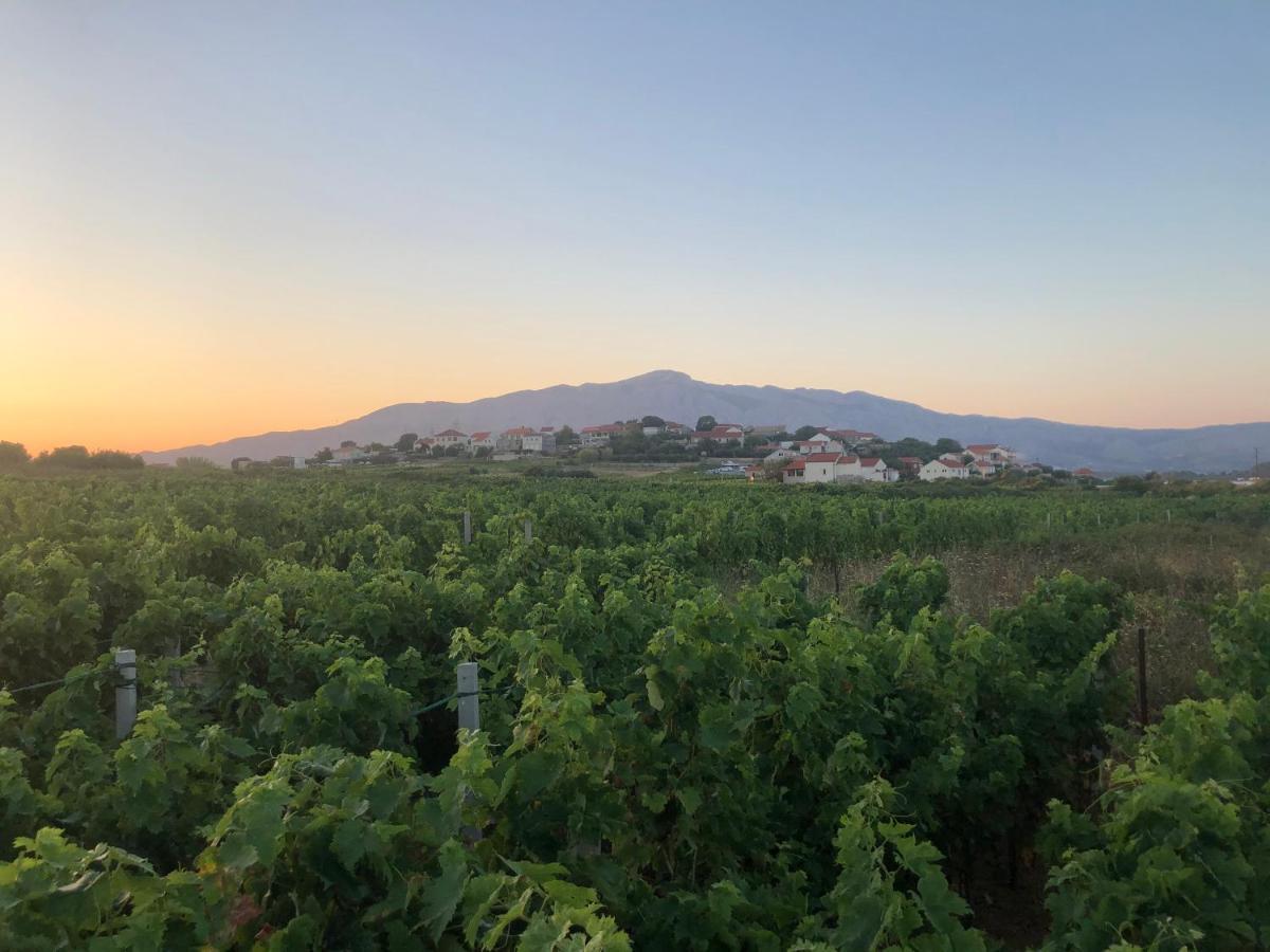 Adrian'S Apartments & Winery Lumbarda Dış mekan fotoğraf