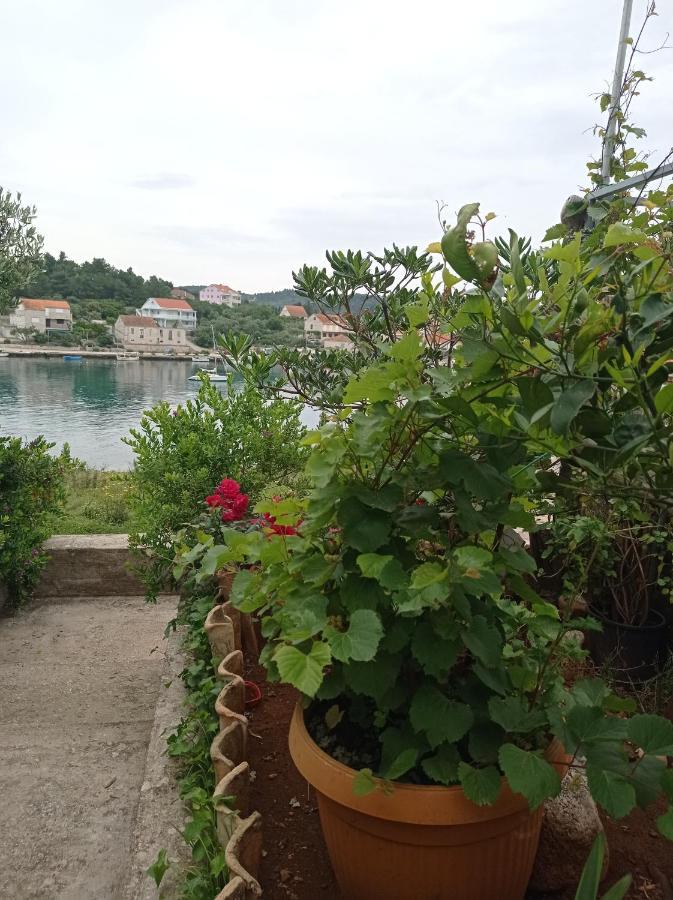 Adrian'S Apartments & Winery Lumbarda Dış mekan fotoğraf